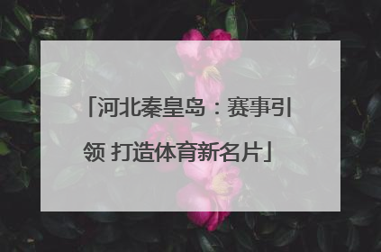 河北秦皇岛：赛事引领 打造体育新名片