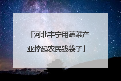 河北丰宁用蔬菜产业撑起农民钱袋子