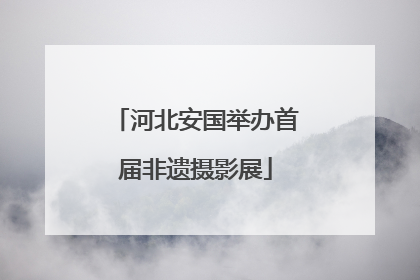 河北安国举办首届非遗摄影展
