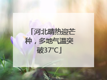 河北晴热迎芒种，多地气温突破37℃