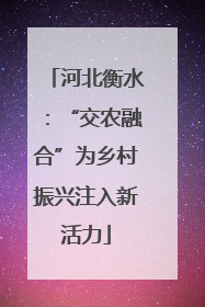 河北衡水：“交农融合”为乡村振兴注入新活力
