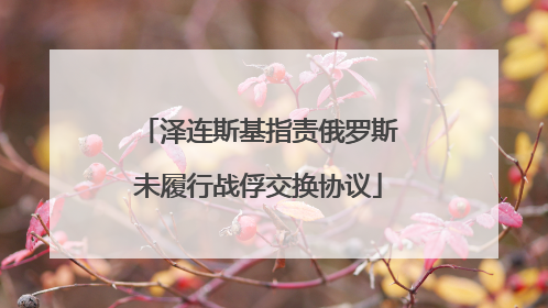 泽连斯基指责俄罗斯未履行战俘交换协议