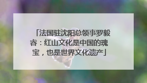 法国驻沈阳总领事罗毅睿：红山文化是中国的瑰宝，也是世界文化遗产