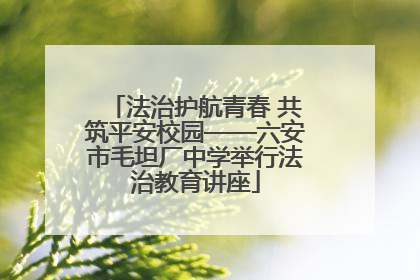 法治护航青春 共筑平安校园——六安市毛坦厂中学举行法治教育讲座