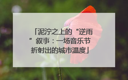 泥泞之上的“逆雨”叙事：一场音乐节折射出的城市温度