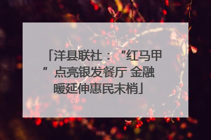 洋县联社：“红马甲”点亮银发餐厅 金融暖延伸惠民末梢