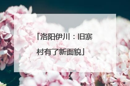 洛阳伊川：旧寨村有了新面貌