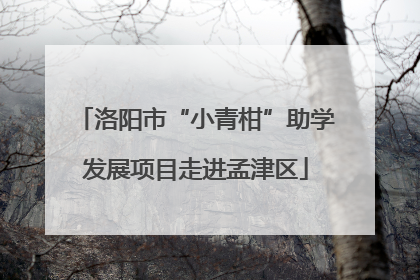 洛阳市“小青柑”助学发展项目走进孟津区