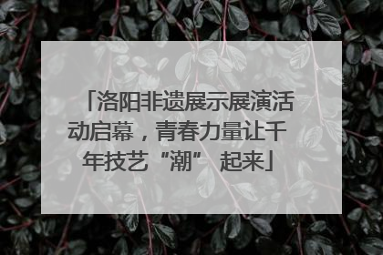 洛阳非遗展示展演活动启幕，青春力量让千年技艺“潮” 起来