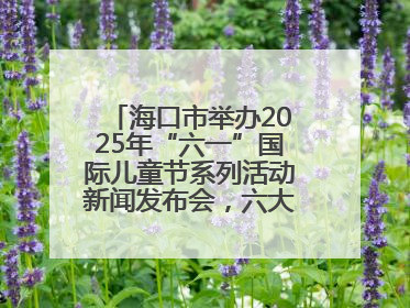 海口市举办2025年“六一”国际儿童节系列活动新闻发布会，六大主题活动助力儿童友好城市建设