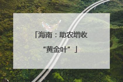 海南：助农增收 “黄金叶”