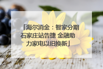 海尔消金：智家分期石家庄站告捷 金融助力家电以旧换新