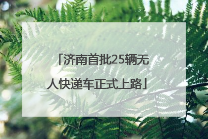 济南首批25辆无人快递车正式上路