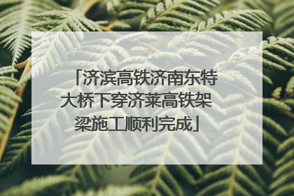 济滨高铁济南东特大桥下穿济莱高铁架梁施工顺利完成