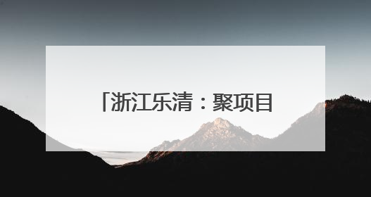 浙江乐清：聚项目吹“新”风 “海边小镇”成“热土”