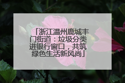 浙江温州鹿城丰门街道：垃圾分类进银行窗口，共筑绿色生活新风尚
