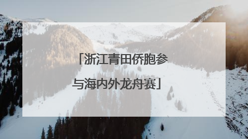 浙江青田侨胞参与海内外龙舟赛