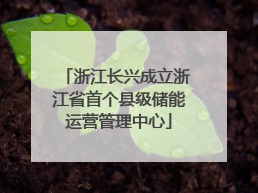 浙江长兴成立浙江省首个县级储能运营管理中心