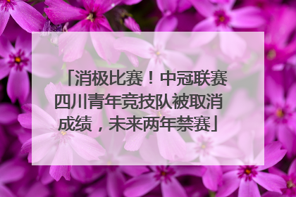 消极比赛！中冠联赛四川青年竞技队被取消成绩，未来两年禁赛