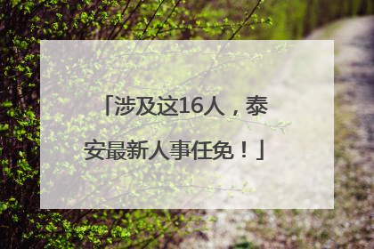 涉及这16人，泰安最新人事任免！