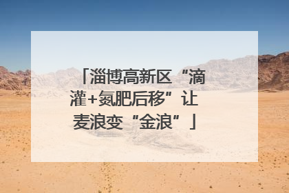 淄博高新区“滴灌+氮肥后移”让麦浪变“金浪”