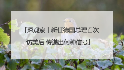 深观察丨新任德国总理首次访美后 传递出何种信号