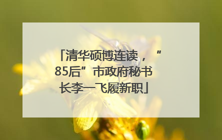清华硕博连读，“85后”市政府秘书长李一飞履新职
