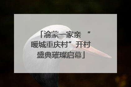 渝蒙一家亲 “暖城重庆村”开村盛典璀璨启幕