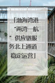 渤海湾港“两湾一航”供应链服务北上通道稳定运营