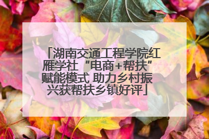 湖南交通工程学院红雁学社“电商+帮扶”赋能模式 助力乡村振兴获帮扶乡镇好评