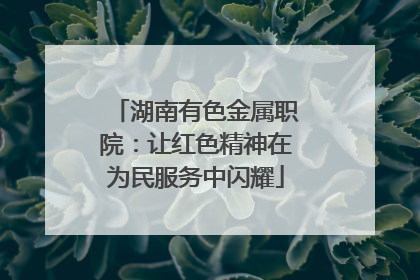 湖南有色金属职院：让红色精神在为民服务中闪耀