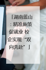 湖南蓝山：精准施策促就业 校企实现“双向奔赴”
