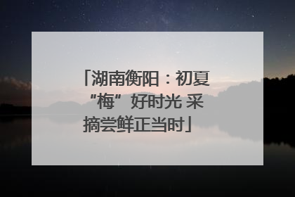 湖南衡阳：初夏“梅”好时光 采摘尝鲜正当时
