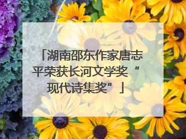 湖南邵东作家唐志平荣获长河文学奖“现代诗集奖”