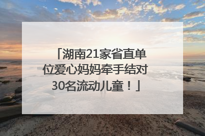 湖南21家省直单位爱心妈妈牵手结对30名流动儿童！