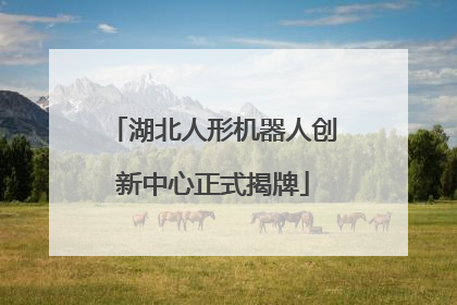 湖北人形机器人创新中心正式揭牌