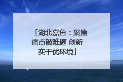 湖北嘉鱼：聚焦痛点破难题 创新实干优环境