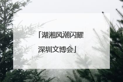 湖湘风潮闪耀深圳文博会