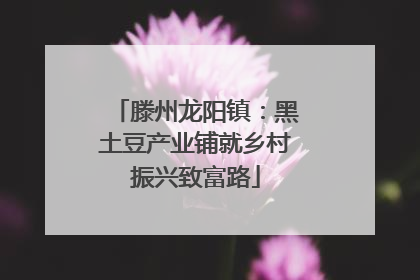 滕州龙阳镇：黑土豆产业铺就乡村振兴致富路