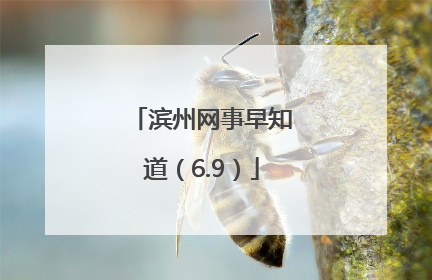 滨州网事早知道（6.9）