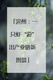 滨州：一只虾“游”出产业链新图景