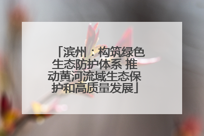滨州：构筑绿色生态防护体系 推动黄河流域生态保护和高质量发展