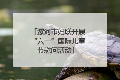漯河市妇联开展“六一”国际儿童节慰问活动