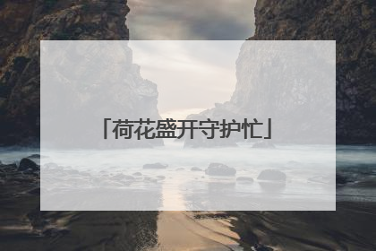 荷花盛开守护忙