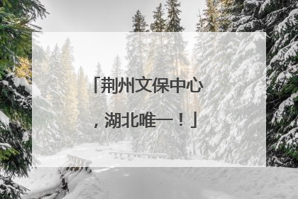 荆州文保中心，湖北唯一！
