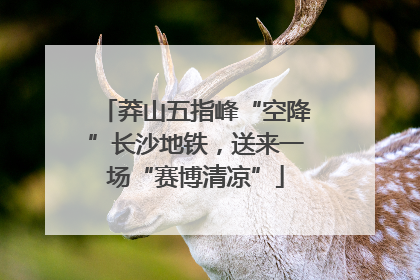 莽山五指峰“空降”长沙地铁，送来一场“赛博清凉”