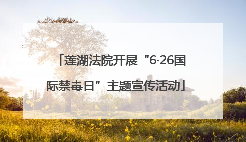 莲湖法院开展“6·26国际禁毒日”主题宣传活动