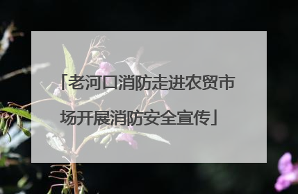 老河口消防走进农贸市场开展消防安全宣传