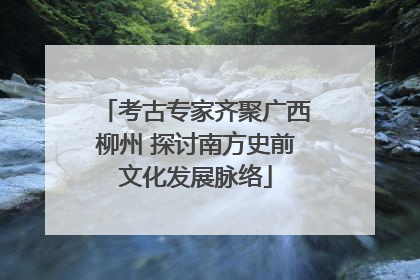 考古专家齐聚广西柳州 探讨南方史前文化发展脉络