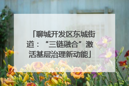 聊城开发区东城街道：“三链融合”激活基层治理新动能